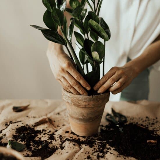 Gardening